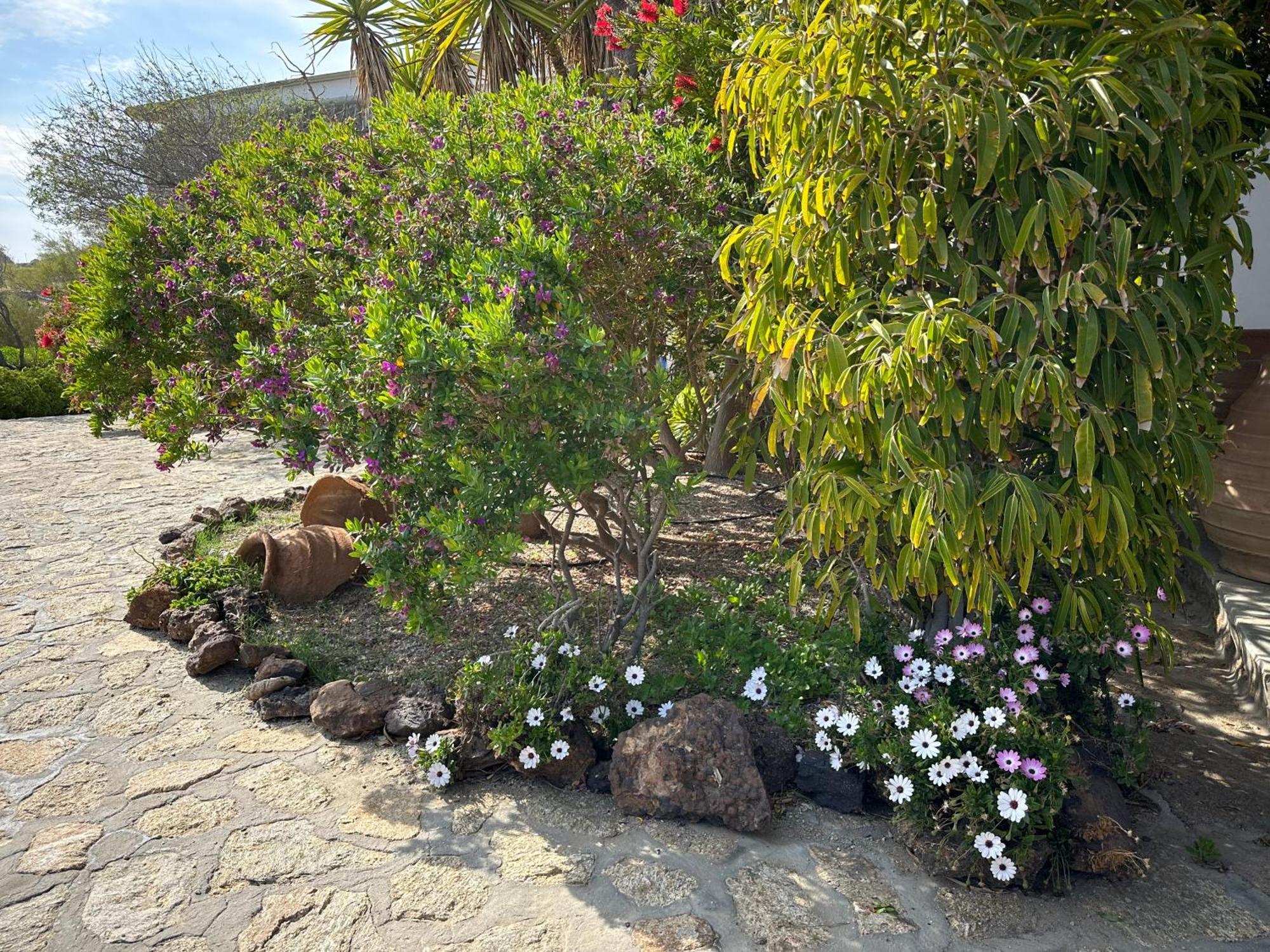 Divers House Agrari  Exterior foto